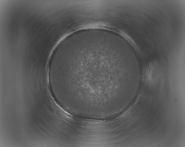 X0000056341224200508291307