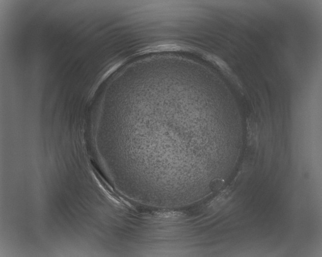 X0000056341225200508291307