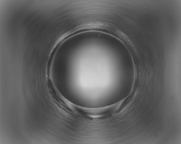 X0000056341226200508291307