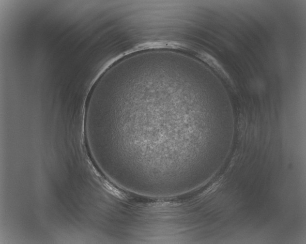 X0000056341228200508291307