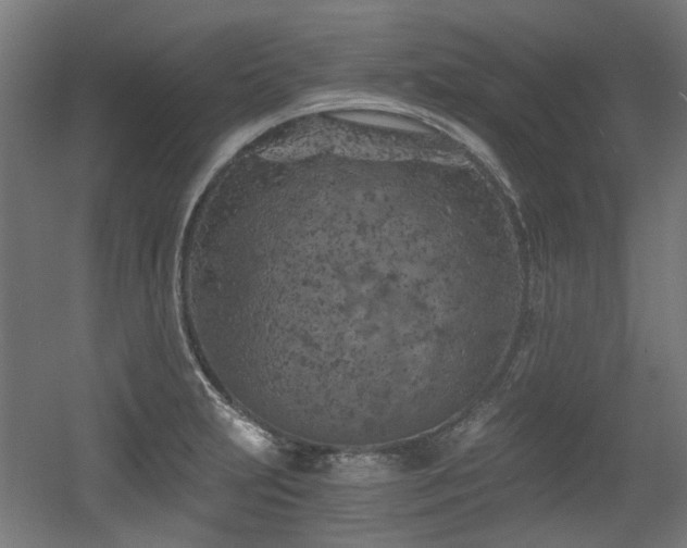 X0000056341231200508291307