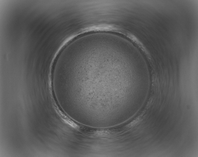 X0000056341232200508291307