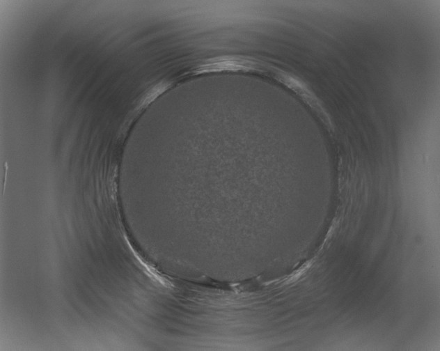 X0000056341233200508291307