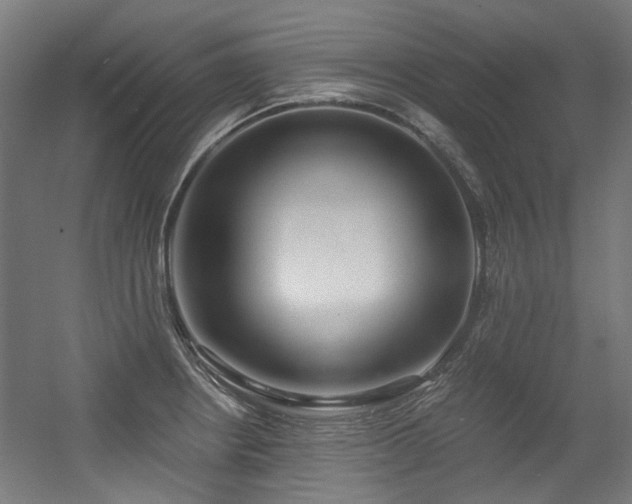 X0000056341234200508291307