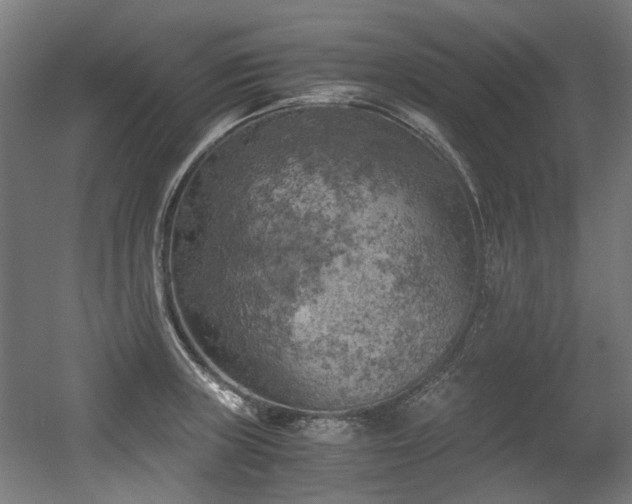 X0000056341235200508291307