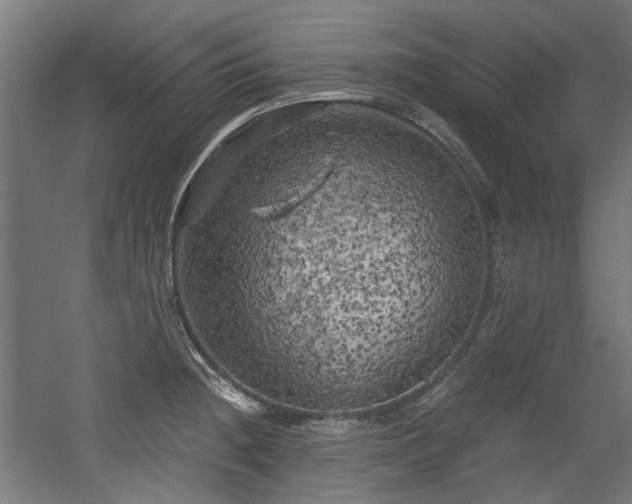 X0000056341236200508291307