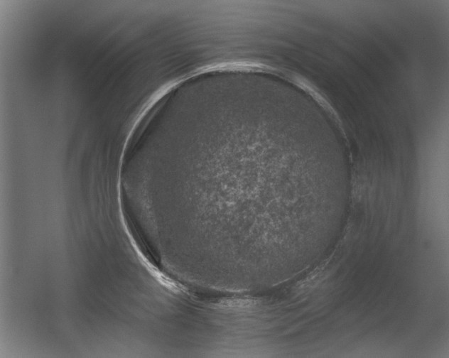 X0000056341237200508291307