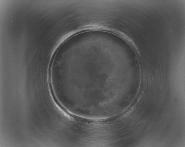 X0000056341239200508291307