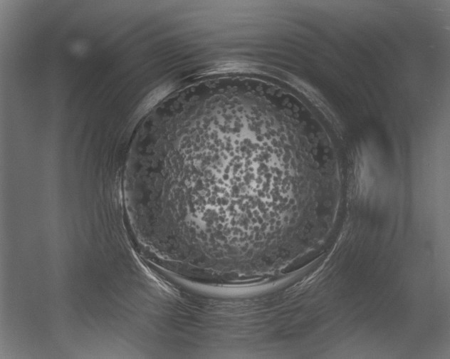 X0000056341241200508291307