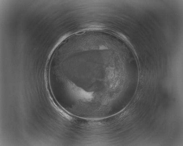 X0000056341243200508291307