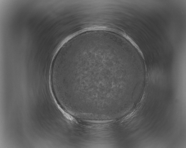 X0000056341245200508291307