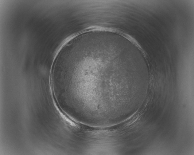 X0000056341247200508291307