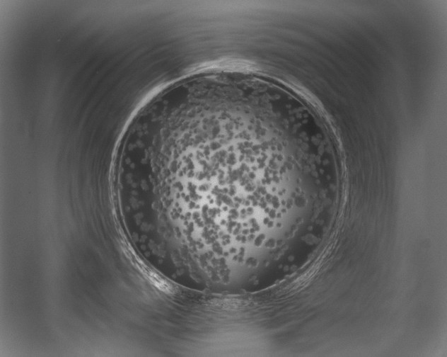 X0000056341248200508291307