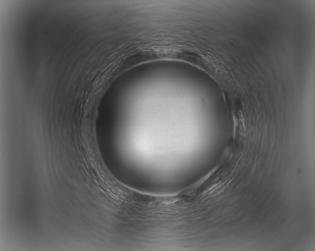 X0000056341249200508291306