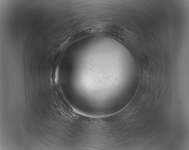 X0000056341250200508291306