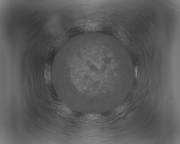 X0000056341251200508291306