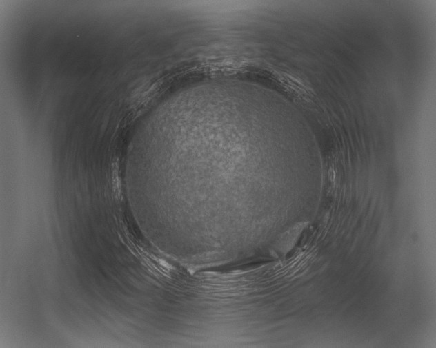 X0000056341252200508291306