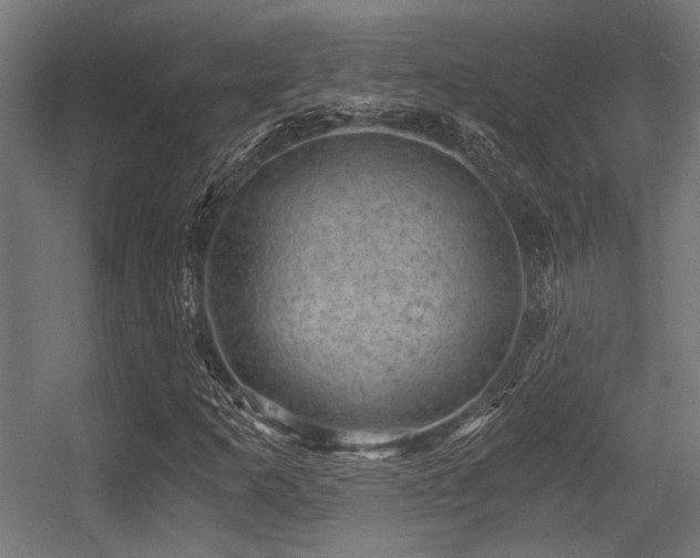 X0000056341253200508291306