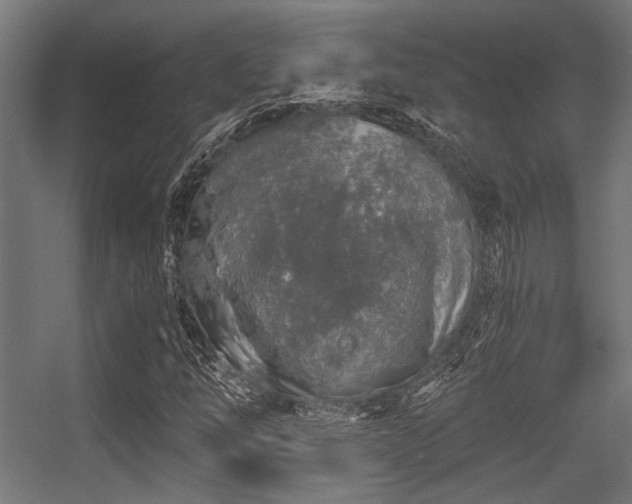 X0000056341254200508291306