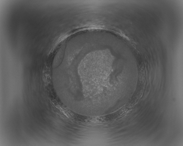 X0000056341255200508291306