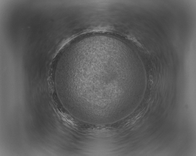 X0000056341256200508291306