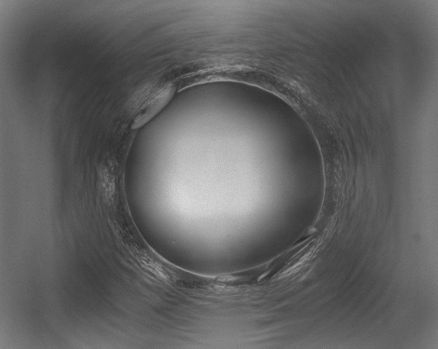 X0000056341257200508291306