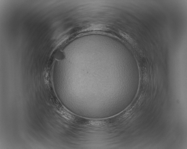 X0000056341258200508291306