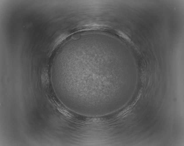 X0000056341259200508291306