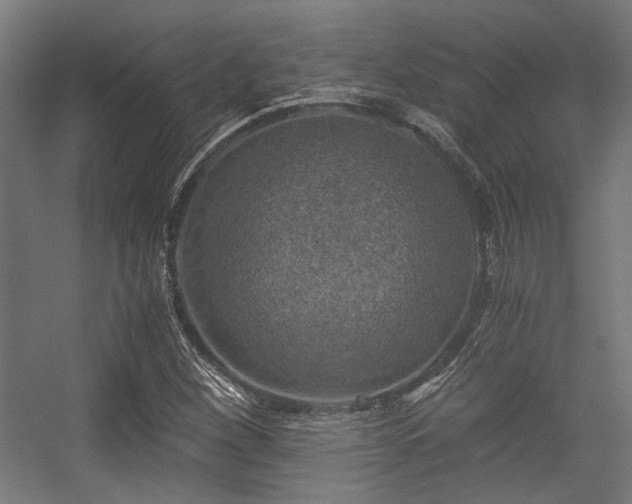 X0000056341260200508291306