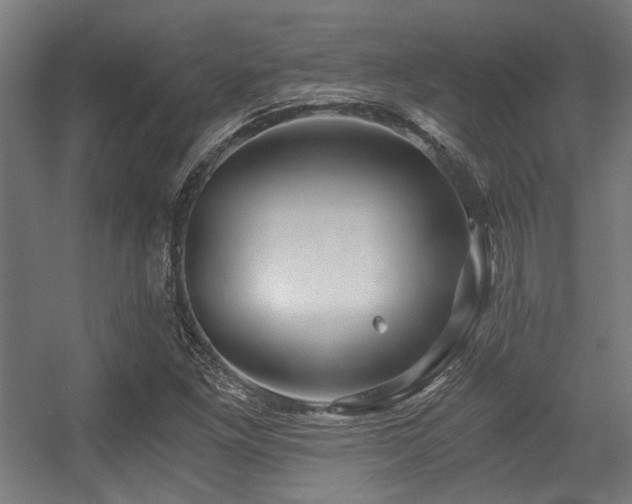 X0000056341261200508291306