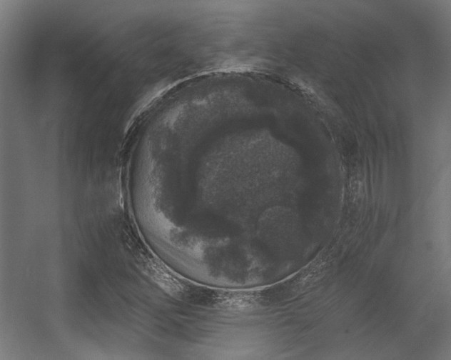 X0000056341262200508291306