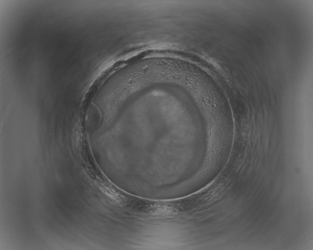 X0000056341263200508291306