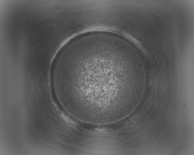 X0000056341264200508291306