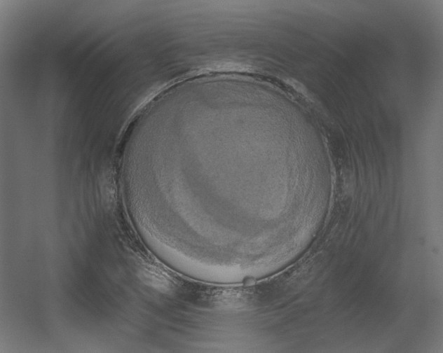 X0000056341266200508291306