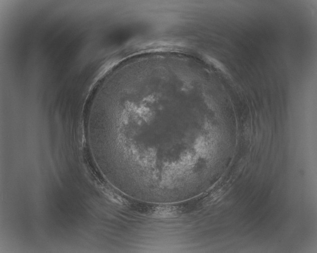 X0000056341267200508291306