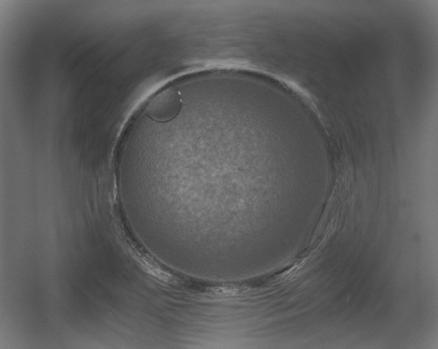 X0000056341271200508291306