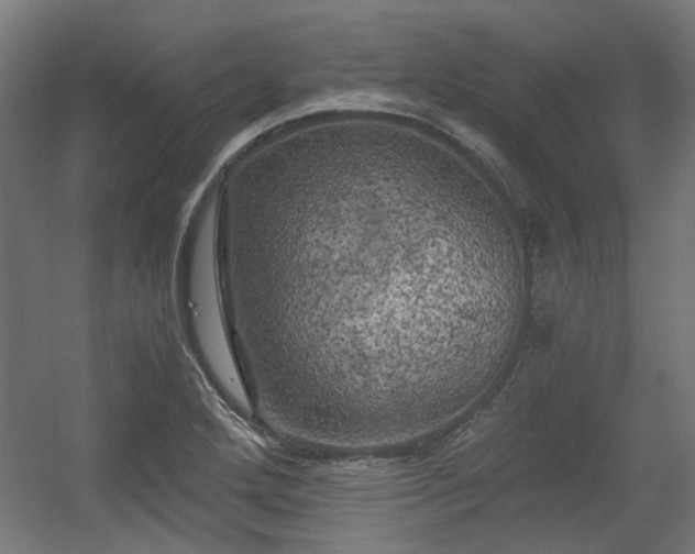 X0000056341272200508291306