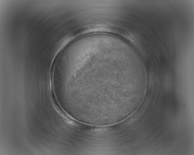 X0000056341274200508291306