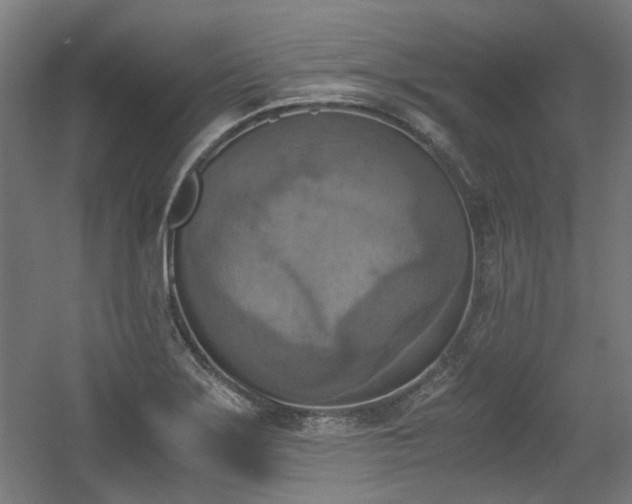 X0000056341275200508291306