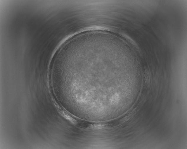 X0000056341278200508291306