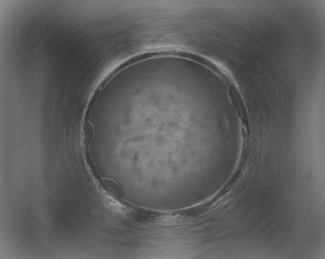 X0000056341279200508291306