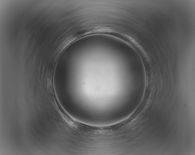 X0000056341281200508291306