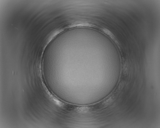 X0000056341282200508291306