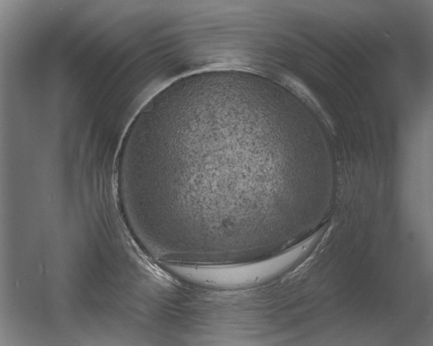 X0000056341284200508291306