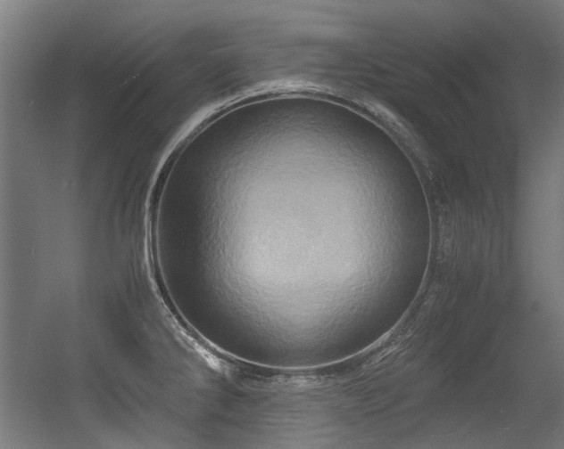 X0000056341286200508291306