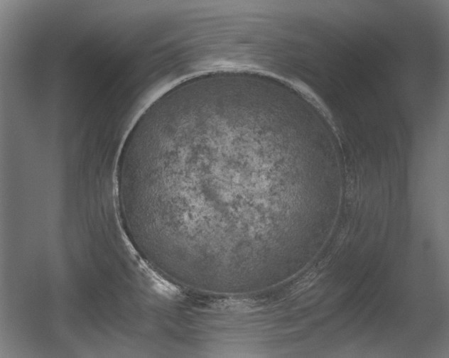 X0000056341287200508291306