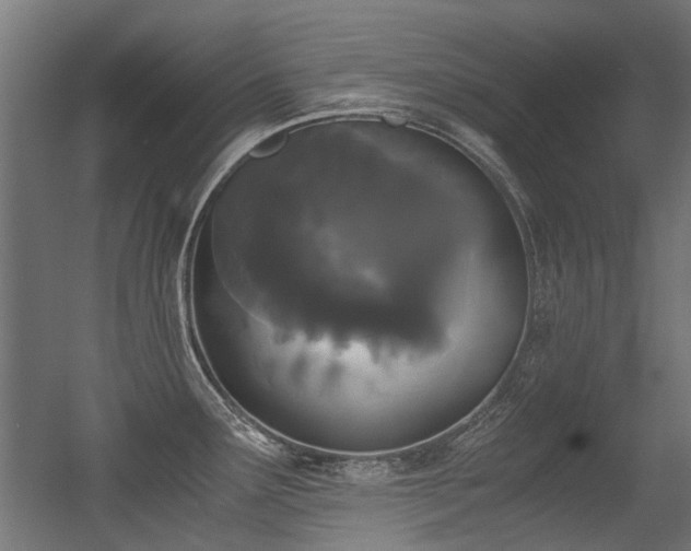 X0000056341291200508291306