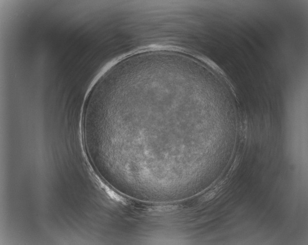 X0000056341294200508291306