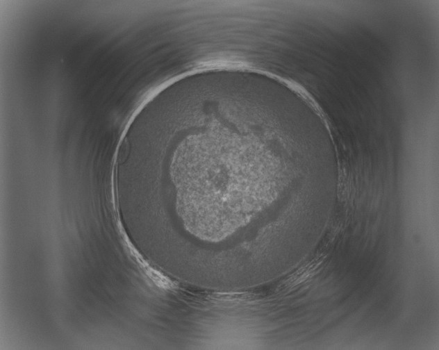 X0000056341295200508291306