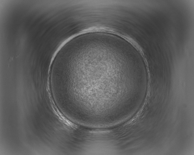 X0000056341296200508291306